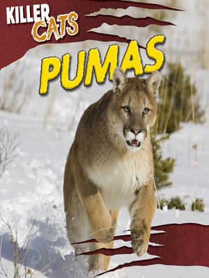 cover image of Pumas